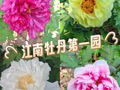 -幕燕滨江·长江观音景区