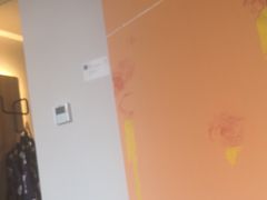 -汉庭优佳(合肥芜湖路万达广场店)