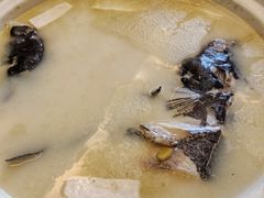 鱼头汤-淮上豆府(水厂路店)