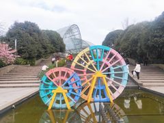 -南山植物园