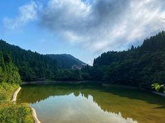 -武陵山森林公园