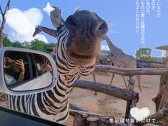 -杭州野生动物世界