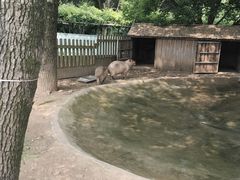 -无锡动物园·太湖欢乐园