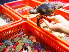 -巽寮印象美食部落餐厅·海鲜·地方特色菜(惠州体验店)