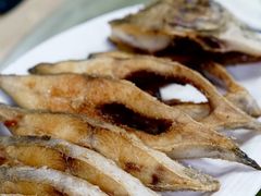 -瑞记湛江鸡饭店·粤西第一鸡(粤垦店)