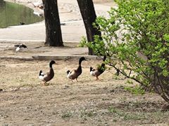 -太阳宫公园