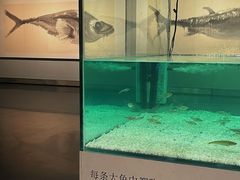-江苏省美术馆(长江路新馆)