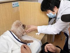 -北京观赏动物医院·24小时大型综合·猫专科·异宠专科