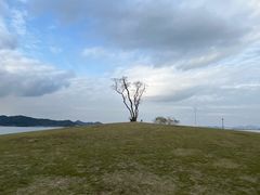 -东钱湖旅游度假区