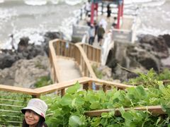 -大鹿岛