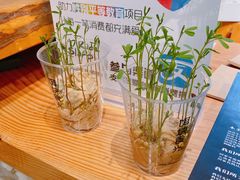 -饵块食光·云南有机手作饵块
