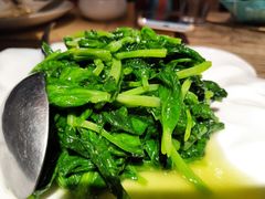 清炒豌豆尖-素心小筑(后沙裕镇店)