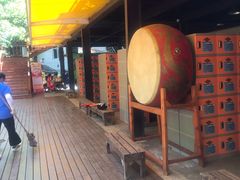 -将军关探险漂流