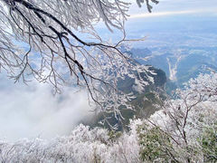 -张家界天门山国家森林公园