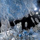最后步入幸福的婚姻殿堂