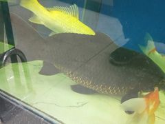 -金逸影城IMAX(光美湛江赤坎店)