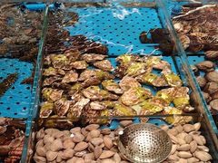 -大连湾旭日·家宴·海肠捞饭(马栏广场店)
