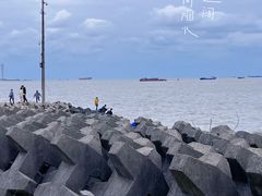 -上海滨江森林公园