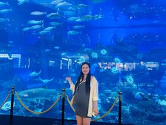 -成都浩海立方海洋公园