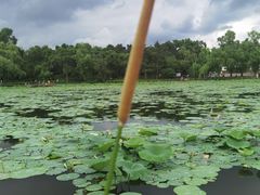 -长春市南湖公园