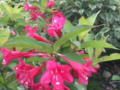 -白塘生态植物园