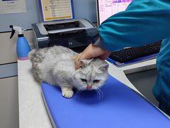 -中农国际动物医院24小时·猫科·骨科·急重症中心