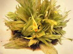 -古韵轩·园林餐厅