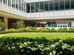 -香港大学