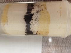 -贝紫Style(木马公寓店)