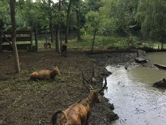 -溱湖国家湿地公园