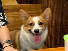 -老东北大铁锅·烧烤·东北菜