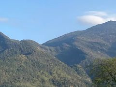 -重庆彩云湖湿地公园