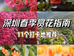 -深圳市中科院仙湖植物园