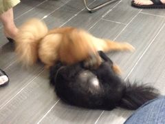 iphone_upload_pic-A+摄影