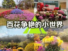 -云溪植物园