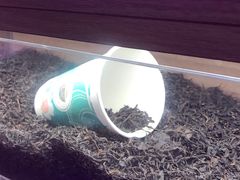 -茶话弄(中贸广场店)