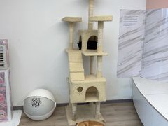 -浣熊柯尔鸭土拨鼠·电玩咖