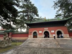 -普乐寺