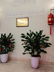 -碧莲盛·不剃发植发
