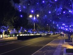 -北戴河碧螺塔海上酒吧公园
