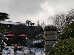 -西安国际创新人才交流中心•药浴温泉