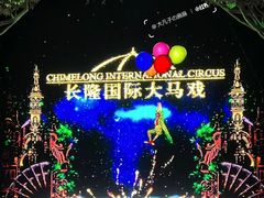 -广州长隆国际大马戏
