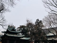 -晋祠公园