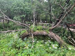 -玉渡山自然风景区