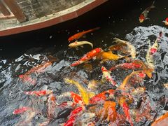 -侠成水上农庄(工业大道店)
