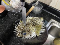 -黄沙水产交易市场