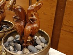 昆明乳鸭-旺顺阁海鲜广场(亚运村店)
