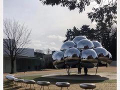 -金泽21世纪美术馆