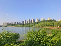 -丁香湖公园