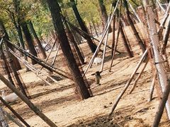 -秦皇岛野生动物园